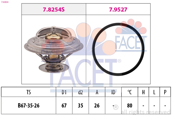 Facet 78254