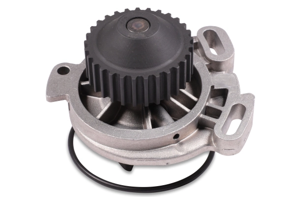 hepu P534