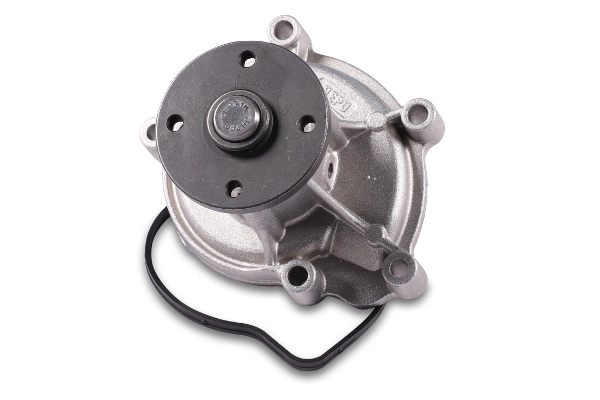 hepu P1539