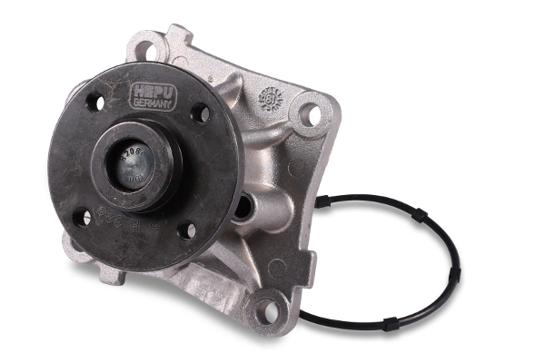 hepu P131