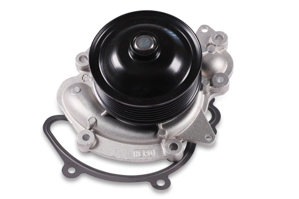 hepu P1521