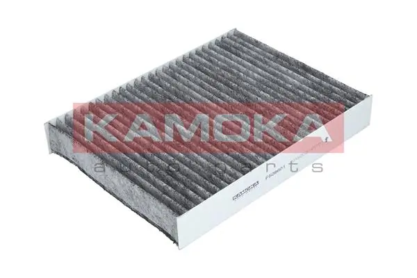 Kamoka F508601