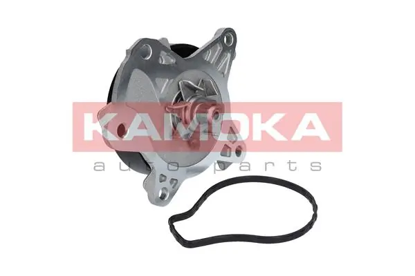Kamoka T0262