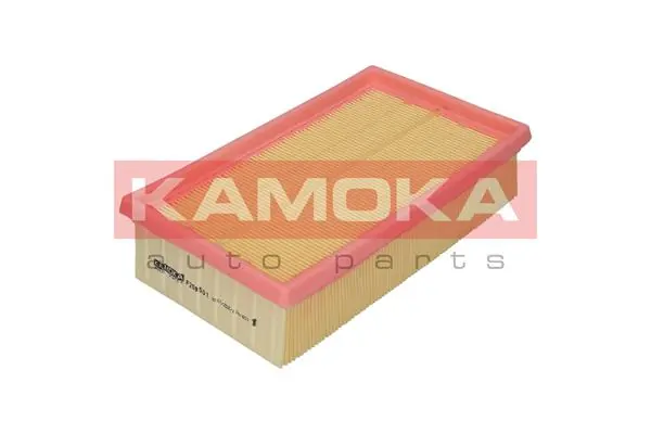 Kamoka F208501
