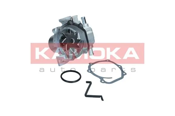 Kamoka T0313