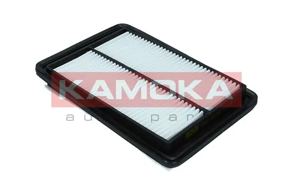 Kamoka F247601