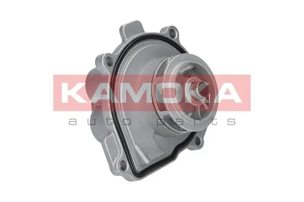 Kamoka T0009