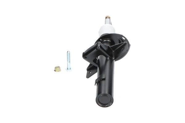 RAISO RS312939