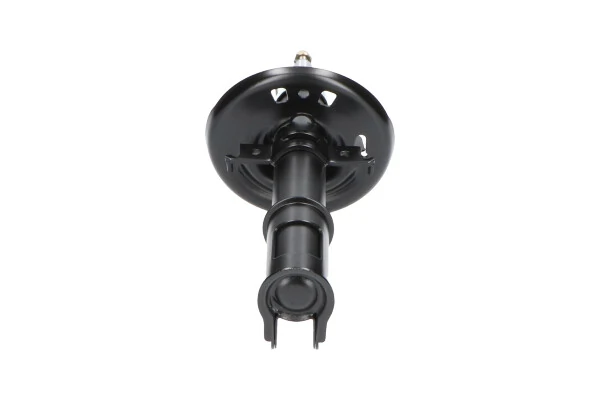 RAISO RS315296