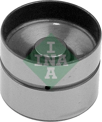 INA 420002210