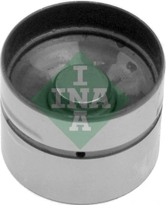 INA 420004710