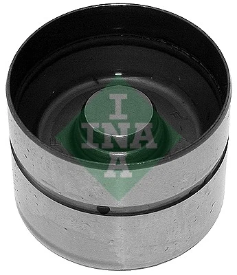 INA 420004310