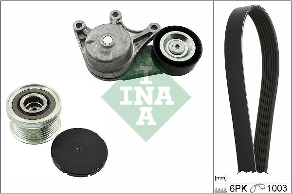 INA 529048320