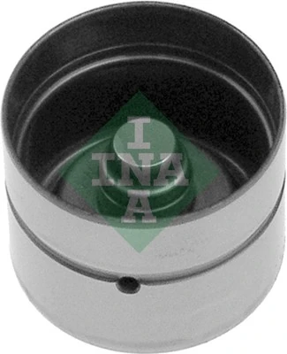 INA 420006110