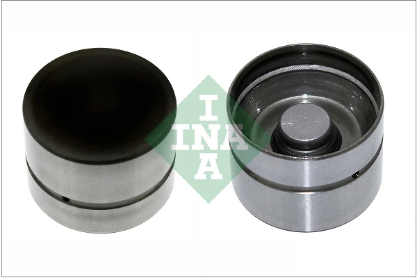INA 420020910
