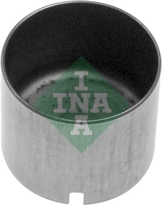 INA 421001210