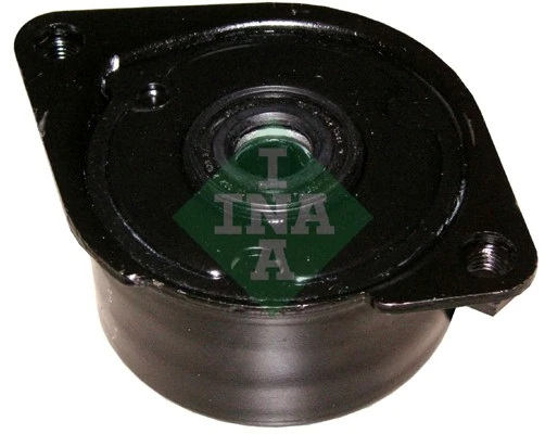 INA 534017110