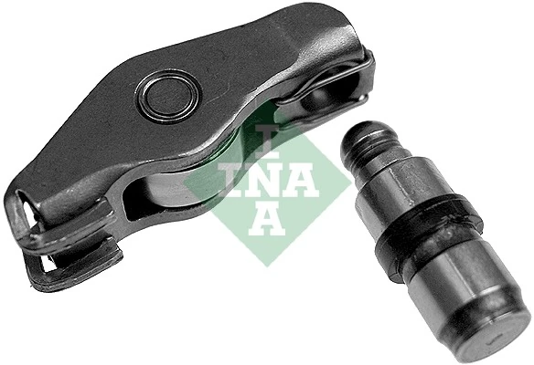 INA 423000110