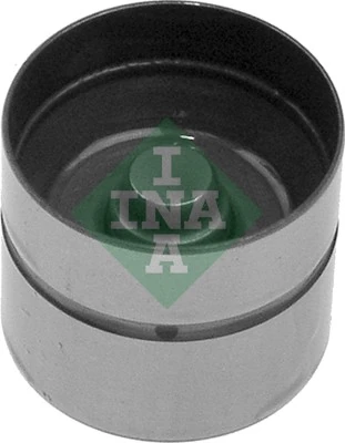INA 420006210