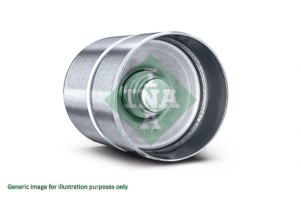 INA 420027310