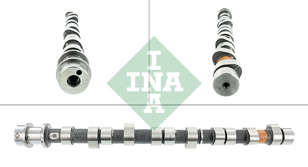 INA 428012710