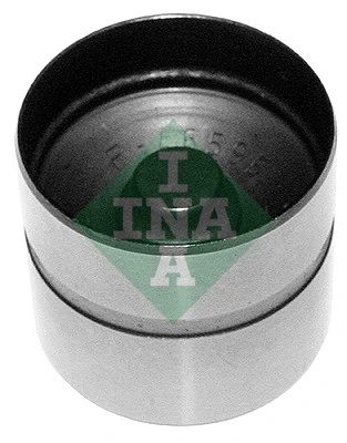 INA 420021010