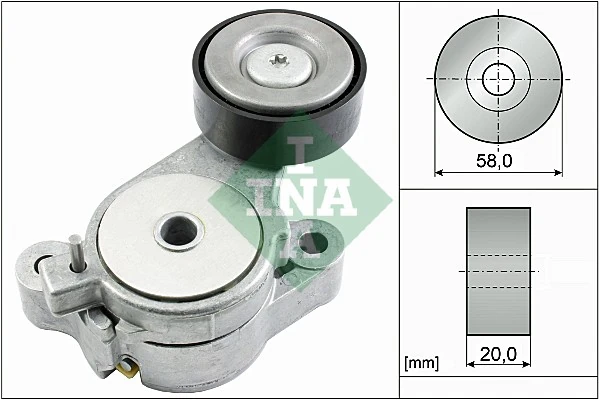 INA 534039610