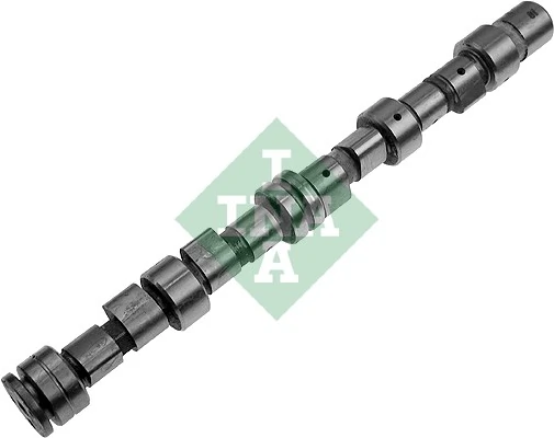 INA 428004910