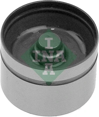 INA 420004210