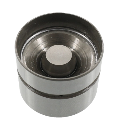 INA 420005910