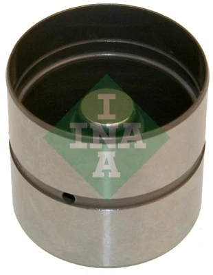 INA 420022010
