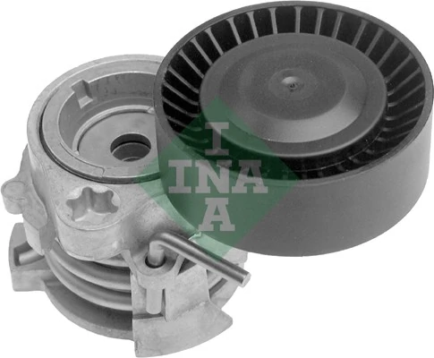 INA 534005010