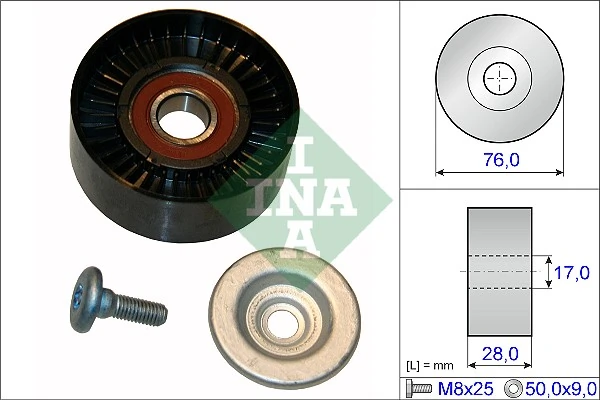 INA 532064810