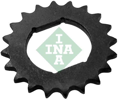 INA 554007310