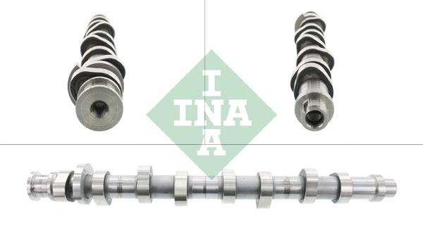 INA 428016110