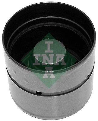 INA 420007310