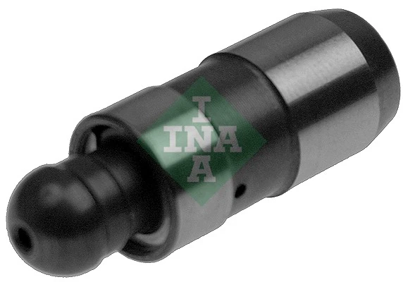 INA 420021810