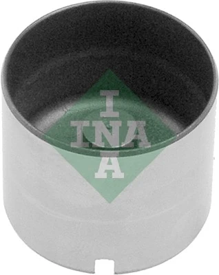 INA 421000510