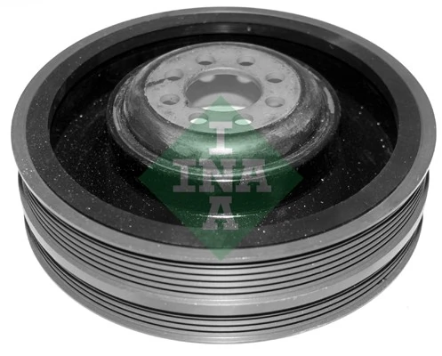 INA 544006110