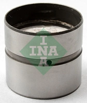 INA 420021110