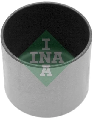 INA 421001010