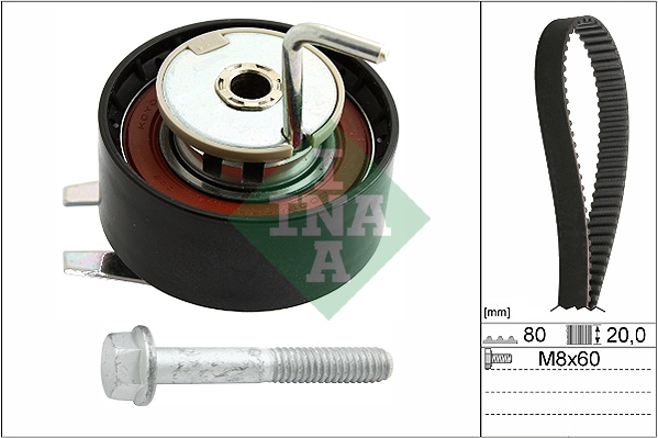 INA 530069210