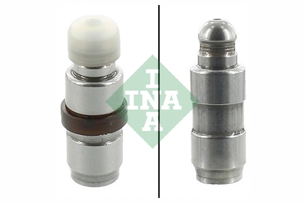 INA 420009010