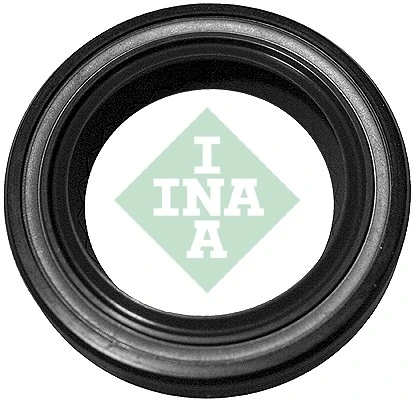 INA 413009310