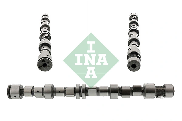 INA 428009610