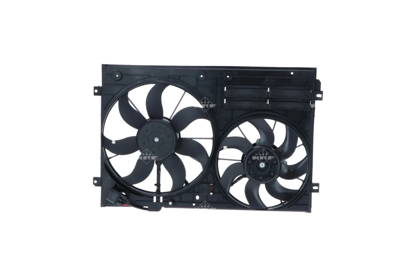 KALE 416800