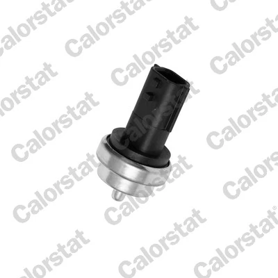 CALORSTAT BY VERNET WS3019