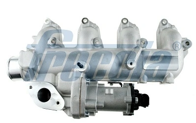 FRECCIA EGR12210