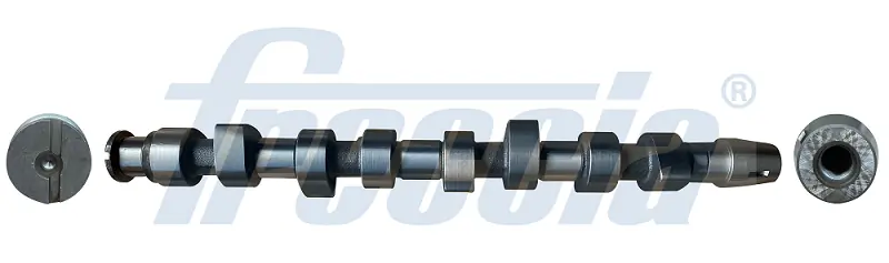 FRECCIA CM052219