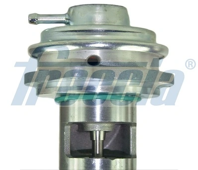FRECCIA EGR12187